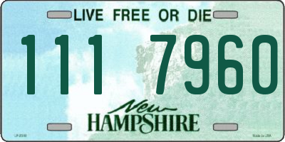 NH license plate 1117960