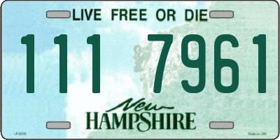 NH license plate 1117961