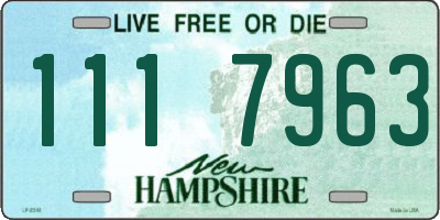 NH license plate 1117963
