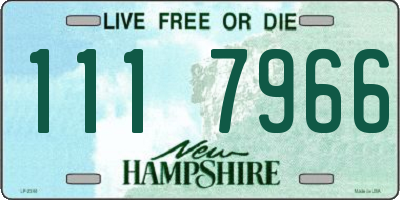 NH license plate 1117966
