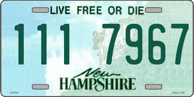 NH license plate 1117967