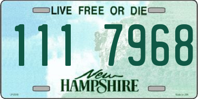 NH license plate 1117968