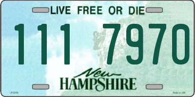 NH license plate 1117970