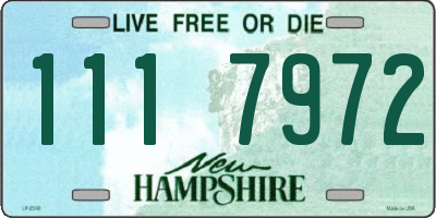 NH license plate 1117972