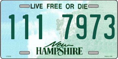 NH license plate 1117973