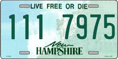 NH license plate 1117975