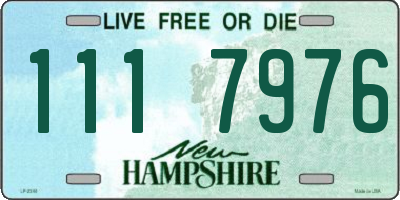 NH license plate 1117976