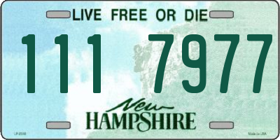 NH license plate 1117977