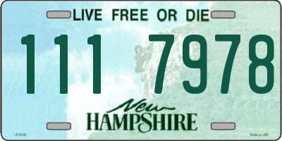 NH license plate 1117978