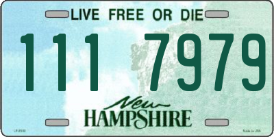 NH license plate 1117979