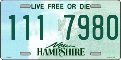 NH license plate 1117980