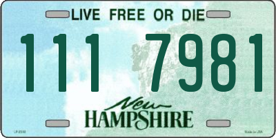 NH license plate 1117981