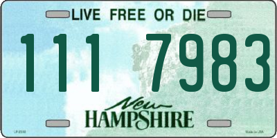 NH license plate 1117983