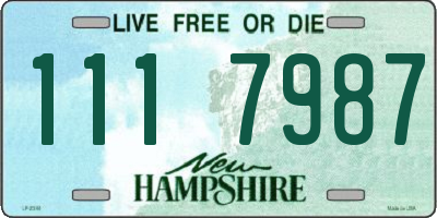 NH license plate 1117987