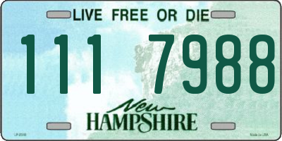 NH license plate 1117988