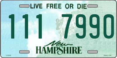 NH license plate 1117990