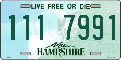 NH license plate 1117991