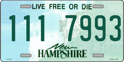 NH license plate 1117993