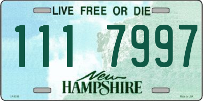 NH license plate 1117997