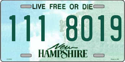 NH license plate 1118019