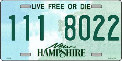 NH license plate 1118022