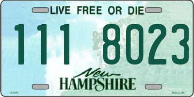 NH license plate 1118023