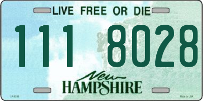 NH license plate 1118028