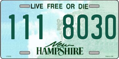 NH license plate 1118030