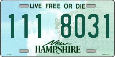 NH license plate 1118031