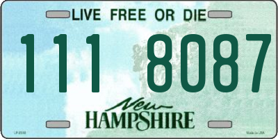 NH license plate 1118087