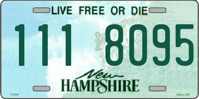 NH license plate 1118095