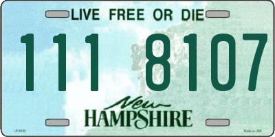 NH license plate 1118107