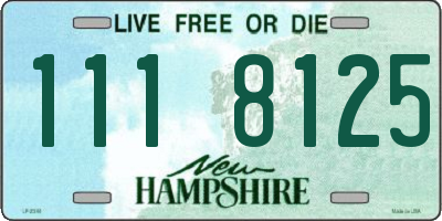 NH license plate 1118125