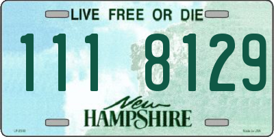 NH license plate 1118129