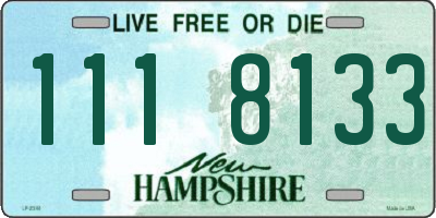 NH license plate 1118133