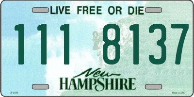 NH license plate 1118137