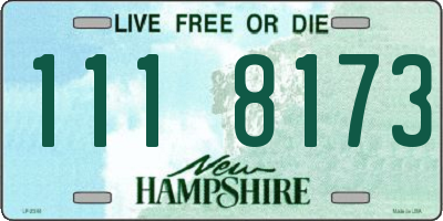 NH license plate 1118173