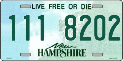 NH license plate 1118202