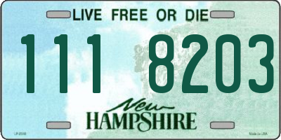 NH license plate 1118203