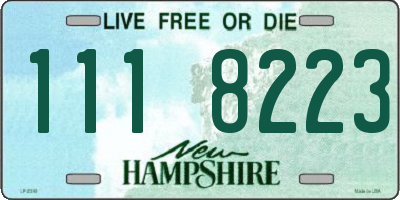 NH license plate 1118223