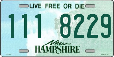 NH license plate 1118229