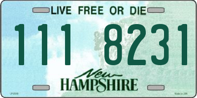 NH license plate 1118231