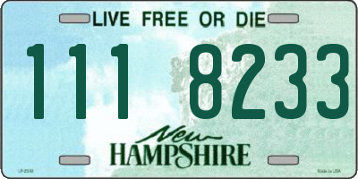 NH license plate 1118233