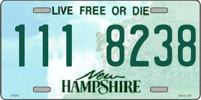NH license plate 1118238