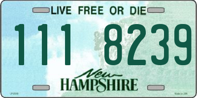 NH license plate 1118239