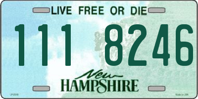 NH license plate 1118246