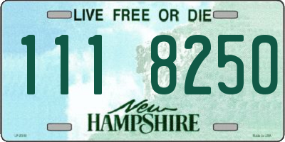 NH license plate 1118250