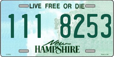 NH license plate 1118253