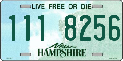 NH license plate 1118256