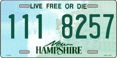 NH license plate 1118257